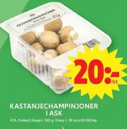 ICA Maxi ICA Kastanjechampinjoner i ask erbjuda