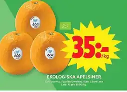 ICA Maxi ICA Ekologiska apelsiner erbjuda
