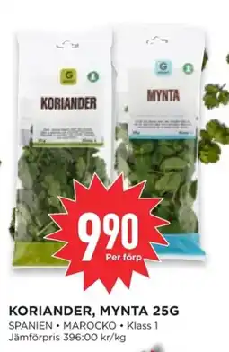 Willys Hemma Koriander, Mynta erbjuda