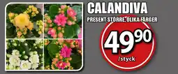 Extra Mjällby Stormarknad Calandiva erbjuda