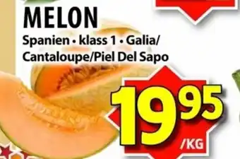Melon