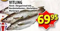 Matvärlden Tensta Vitling erbjuda