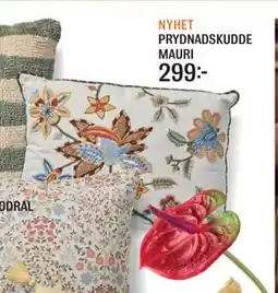 Mio PRYDNADSKUDDE MAURI erbjuda