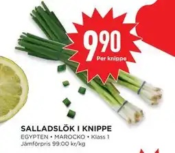 Willys SALLADSLÖK I KNIPPE erbjuda