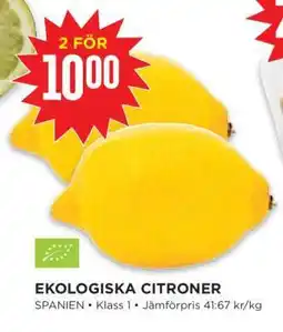 Willys Ekologiska Citroner erbjuda