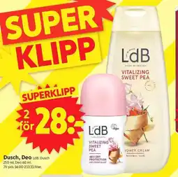 ICA Supermarket LDB Dusch, deo erbjuda
