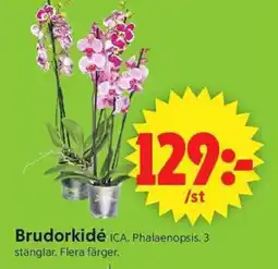 ICA Supermarket Brudorkidé erbjuda