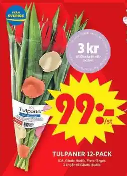 ICA Supermarket TULPANER 12-PACK erbjuda