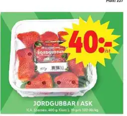 ICA Supermarket Jordgubbar i ask erbjuda