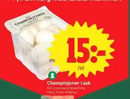 ICA Supermarket CHAMPINJONER I ASK erbjuda