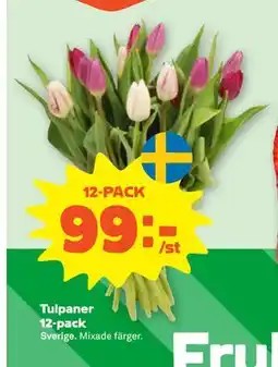 Stora Coop Tulpaner 12-pack erbjuda