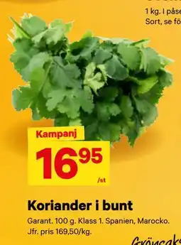 City Gross Koriander i bunt erbjuda