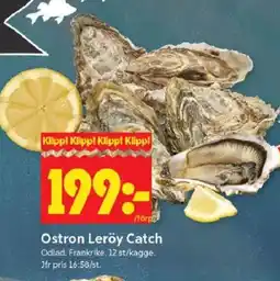 ICA Kvantum Ostron Leröy Catch erbjuda