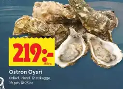 ICA Kvantum Ostron Oysri erbjuda