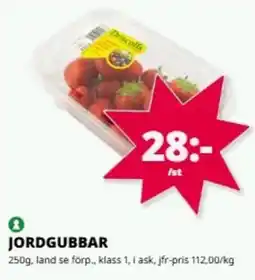 Tempo Jordgubbar erbjuda
