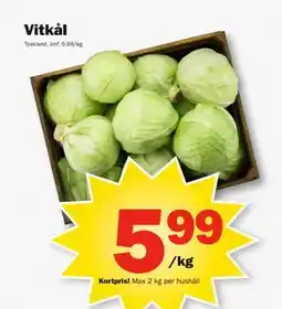 Pekås Vitkål, Medlemspris erbjuda