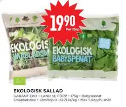 Willys EKOLOGISK SALLAD erbjuda