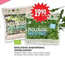 Willys Hemma EKOLOGISK BABYSPENAT, SMÅBLADSMIX erbjuda