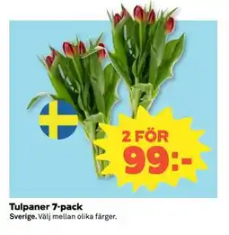 Coop Daglivs Tulpaner 7-pack erbjuda