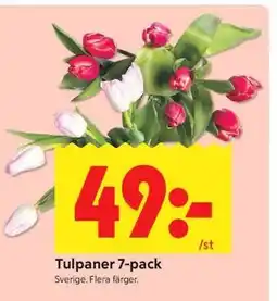 ICA Kvantum Tulpaner 7-pack erbjuda