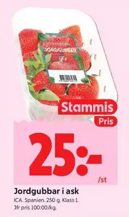 ICA Kvantum Jordgubbar i ask, Medlemspris erbjuda