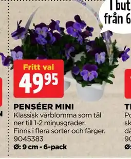 Jem&Fix PENSÉER MINI erbjuda