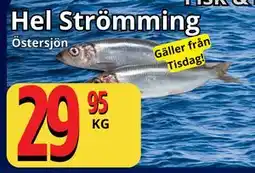 Supergrossen Hel Strömming erbjuda