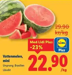 Lidl Vattenmelon, mini erbjuda