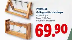 Lidl PARKSIDE Odlingsset för sticklingar erbjuda