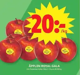 ICA Maxi ICA Äpplen royal gala erbjuda