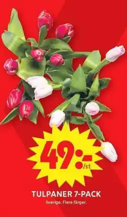 ICA Maxi Tulpaner 7-pack erbjuda