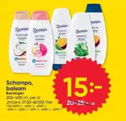 DollarStore BARNÄNGEN Schampo, balsam erbjuda