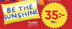 DollarStore Kudde erbjuda