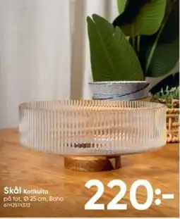 DollarStore Skål erbjuda