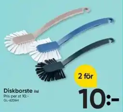 DollarStore Diskborste erbjuda