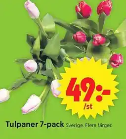 ICA Supermarket Tulpaner 7-pack erbjuda