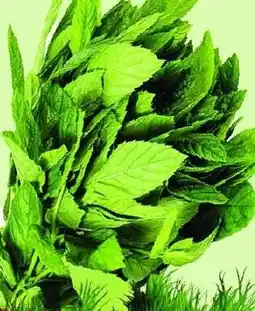 Matrix Butikerna KORIANDER erbjuda