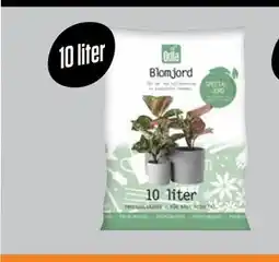 ÖoB BLOMJORD, Medlemspris erbjuda