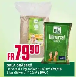 ÖoB ODLA GRÄSFRÖ erbjuda