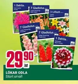 ÖoB LÖKAR ODLA erbjuda