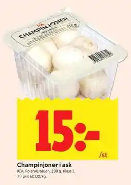 ICA Supermarket CHAMPINJONER I ASK erbjuda