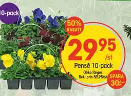 EKO Pensé 10-pack erbjuda