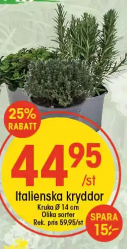 EKO Italienska kryddor erbjuda