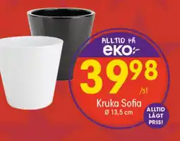 EKO Kruka Sofia erbjuda