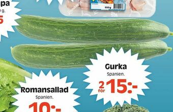 Gurka