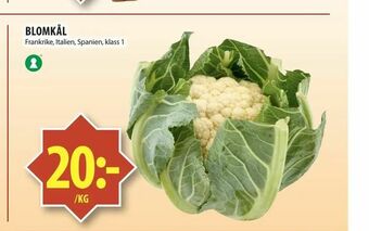 Matvärlden Tensta Blomkål erbjuda