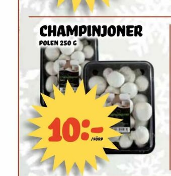 Champinjoner
