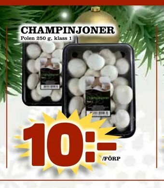Supergrossen Champinjoner erbjuda