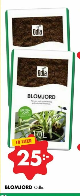 Blomjord