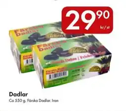 Snabbgross Dadlar erbjuda